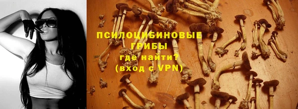 соль курить ск Белокуриха