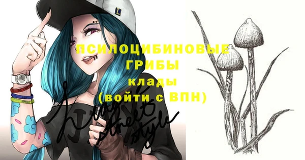 соль курить ск Белокуриха