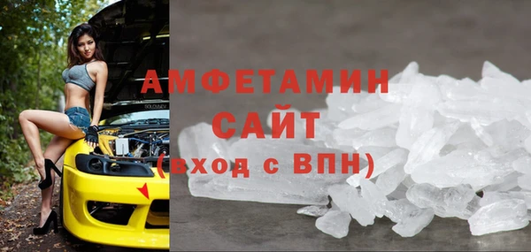 ГАЛЛЮЦИНОГЕННЫЕ ГРИБЫ Дмитриев